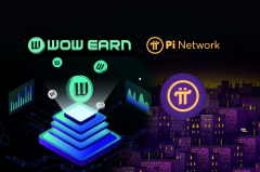 tp钱包app安卓版|Pi Network 与 WOW EARN：做出明智的选择