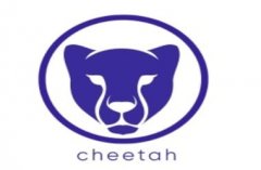 tp钱包安卓APP下载|Cheetah 推出用于非洲