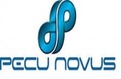 tp钱包安卓版下载|Pecu Novus 通过时间共