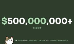 TokenPocket钱包app官网下载|Zircuit 质押计划突破 5 亿美元